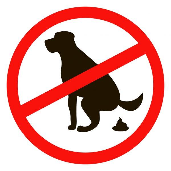 No dog poop